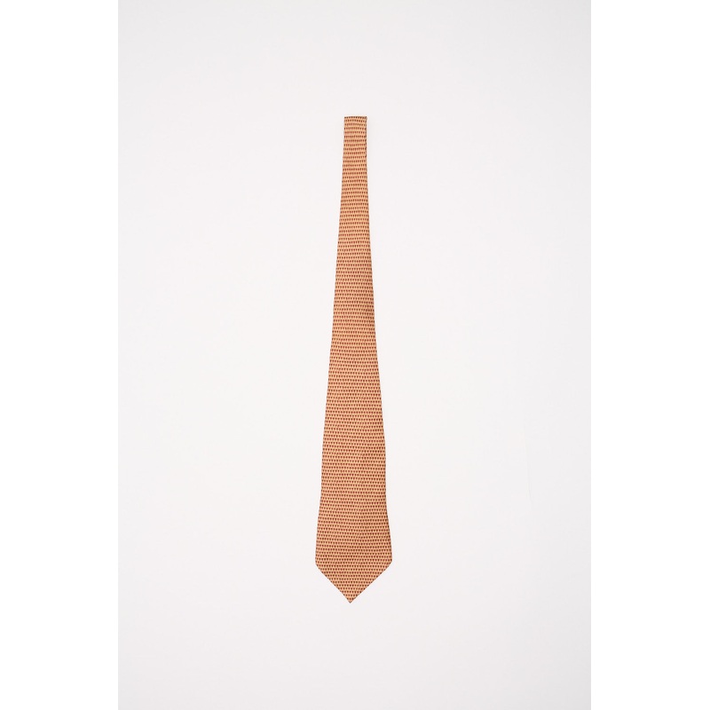 Zegna Tie (OneSize) OneSize