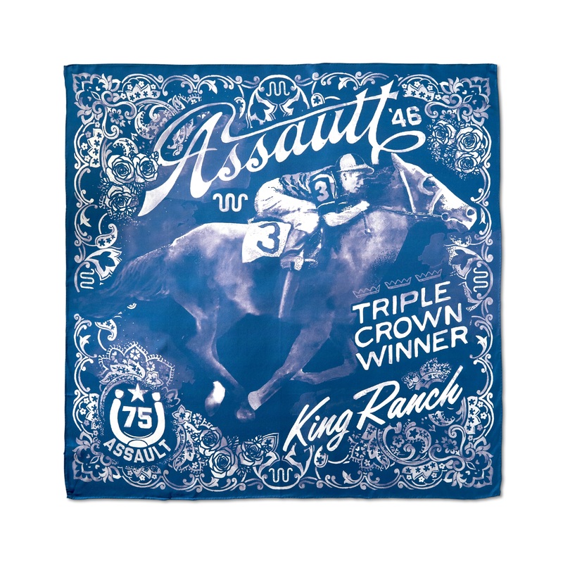 ASSAULT 75th Anniversary Scarf Navy