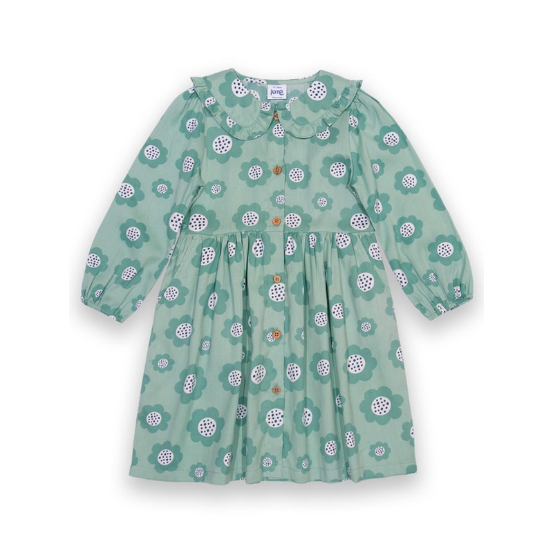 Big bloom dolly collar dress 3 years