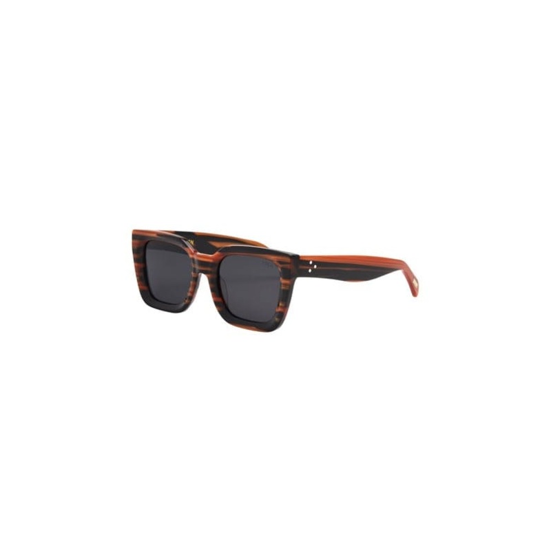 I SEA- Alden Polarized Sunglasses TIGERS EYE/SMOKE